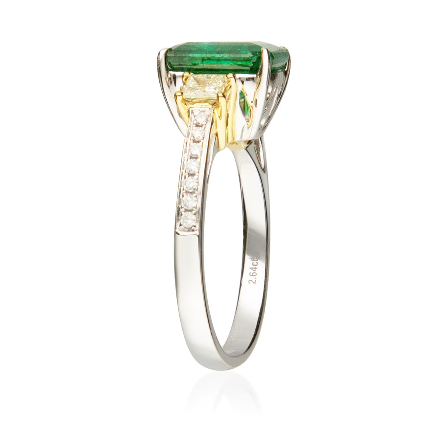 Enchanting Elegance 18K Two-Tone Gold Emerald-Cut Emerald Ring