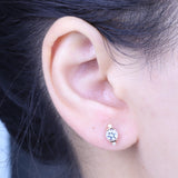 Charles 10K Rose Gold Round-Cut Brazilian Aquamarine Earrings