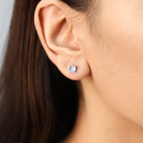 Jasper 10K White Gold Round-Cut Brazilian Aquamarine Earrings