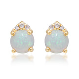 Phoenix 14K Yellow Gold Round-Cut Natural African Opal Earrings