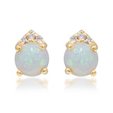 Phoenix 14K Yellow Gold Round-Cut Natural African Opal Earrings